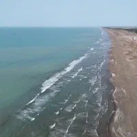 زمین ۴هکتاری دوکله ساحلی الماس نادر سرمایهگذاری