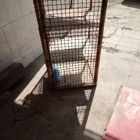 قفس کبوتر