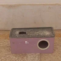 قفس،لونه،نردبان،ملزومات قفس پرنده|لوازم جانبی حیوانات|برخوار, |دیوار