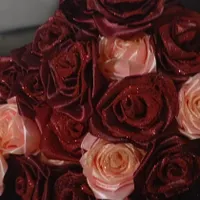 گل روبانی و پروانه ای|گل مصنوعی|دزفول, |دیوار