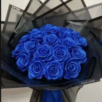 تک شاخه و جمعی