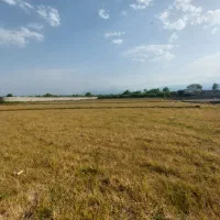 زمین-و-باغ-کشاورزی