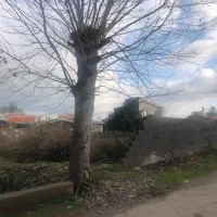 زمین-مسکونی-مدارک-کامل-3کیلومتری-ساحل-سادات-محله