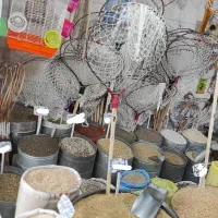 خرید و فروش انواع ارزن گندم ذرت کتان شاهدانه کبوتر|عمده‌فروشی|مشهد, مهدی آباد (بلوار توس)|دیوار