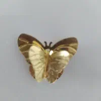 طلا به قیمت تابلو فقط تا فردا