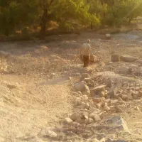 زمین مسکونی مرزیجران