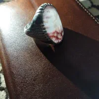 انگشتر نقره شجر