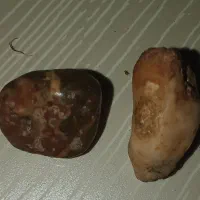 انواع سنگهای قیمتی وگبری باقیمت مناسب بفروش...|کلکسیون اشیاء عتیقه|یاسوج, |دیوار