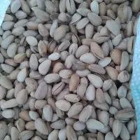 پسته اکبری کیلویی ۹۰۰|خوردنی و آشامیدنی|جوادآباد, |دیوار