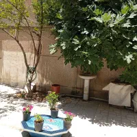 اجاره مبله روزانه ماهانه تخفیف برای بیماران|اجارهٔ کوتاهمدت آپارتمان و سوئیت|شیراز, بالا کفت|دیوار