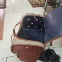 ساک حمل سگ و گربه