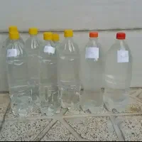 عرق کاسنی وشاتره