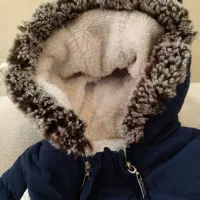 کاپشن|کفش و لباس بچه|تهران, سلیمانی|دیوار