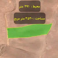 زمین کشاورزی دیمی