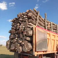 خریدار چوب|خدمات باغبانی و درختکاری|سراب, |دیوار