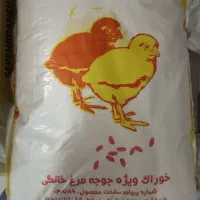 دان/خوراک جوجه مرغ بومی