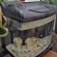 آکواریوم شرکتی بک سامپ