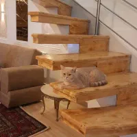 انواع پله ونرده لوکس چوبی ونجاری سیار کریمی