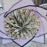 سفارش گل روبانی