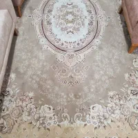 فرش|فرش|بوشهر, |دیوار