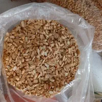 بادام درجه دو کره گیری