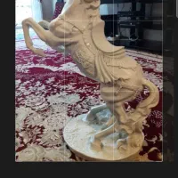 اسب سفید یه گوشش شکسته