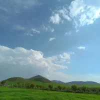 زمین-دیمی
