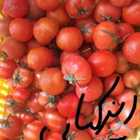 گوجه|خوردنی و آشامیدنی|قهدریجان, |دیوار