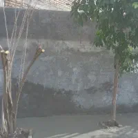 بازسازی خونه رنگامیزی لکه گیری وتموم کارهای سازه