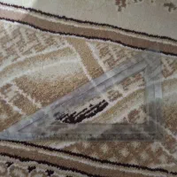 گونیا