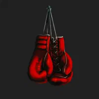 آموزش بوکس بانوان