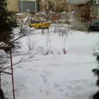 تاکسی سمند ای اف سون مدل ۹۵
