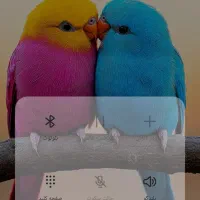 09172998112|سیمکارت|رباطکریم, الارد|دیوار