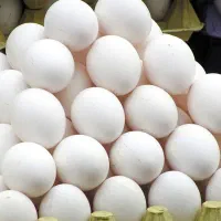 تخم مرغ روز