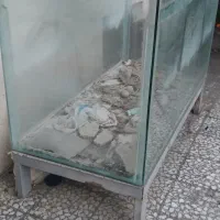 اکواریوم بزرگ ماهی|ماهی|آمل, |دیوار