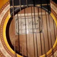 گیتار همراه با کاپو وپایه گیتار|گیتار، بیس، امپلیفایر|نکا, |دیوار