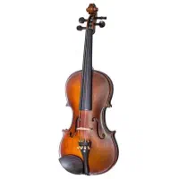 Violin phoenix|ویولن|اهواز, کیانپارس |دیوار