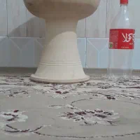 تنبک از جنس کوزهی یه همون ضرب