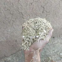 کاه لوبیا