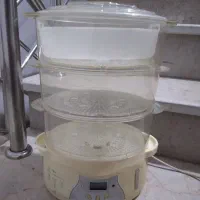 بخار پز سالم