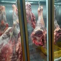 یخچال قصابی موتور دانفوس کاملا نو