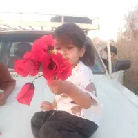 وانت بارتلفنی