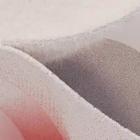 پلاک موتور گم شده