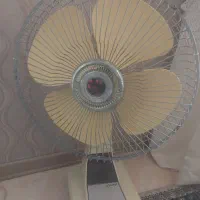 پنکه کوهسار