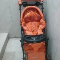 کالسکه دلیجان|کالسکه و لوازم جانبی|ری, دیلمان|دیوار