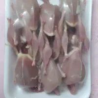 گوشت بلدرچین تازه و تخم بلدرچین