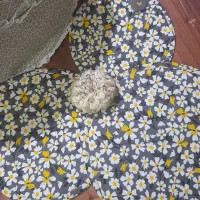 سرویس دمکنی کتان نخ با طرح دلخواه شما|سفره، حوله، دستمال آشپزخانه|قم, پردیسان|دیوار