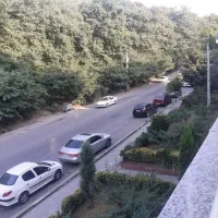 رهن و اجاره 2 خواب ویو جنگل سروش