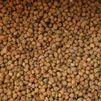 نخود لپه ای