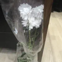 دسته گل رایگان